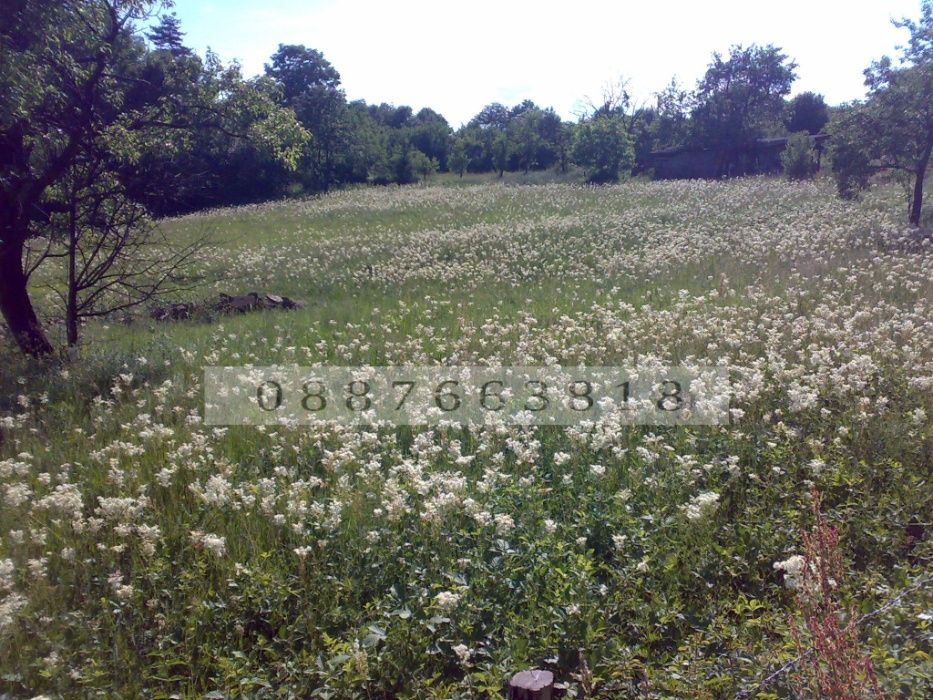 Продава се Парцел в с. Драшкова поляна, Област Ловеч - 4500 кв.м за 6 €/кв.м - Снимка #3