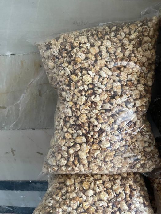 Tayor mini biznes pushka aparat