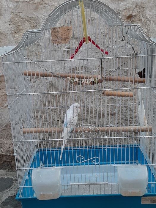 Cusca mare cu accesorii pentru perusi