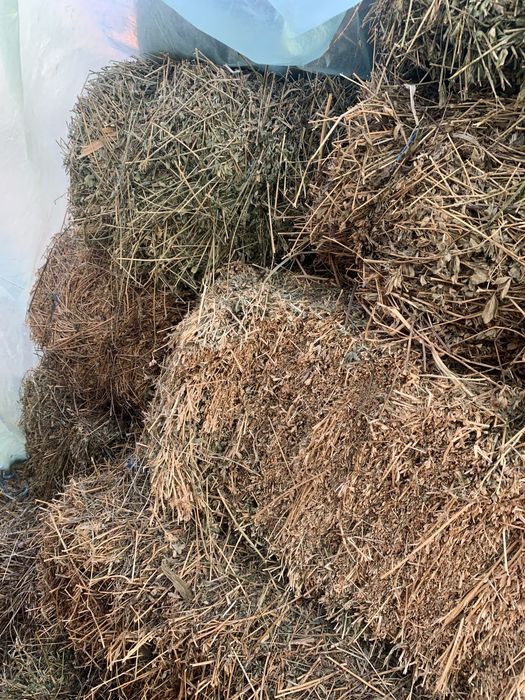 Vînd baloti de paie si lucernă