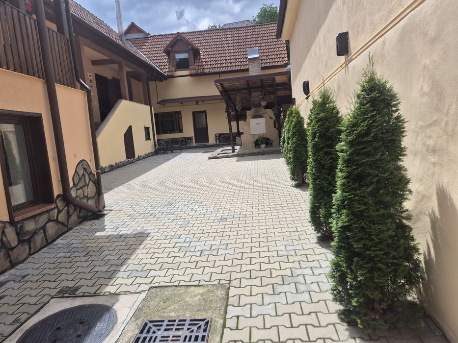 Pensiune In  Rasinari Plus Inca o  Casa