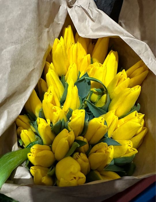 Тюльпаны опт ( крупные ) поставка 1/2 марта предзаказ