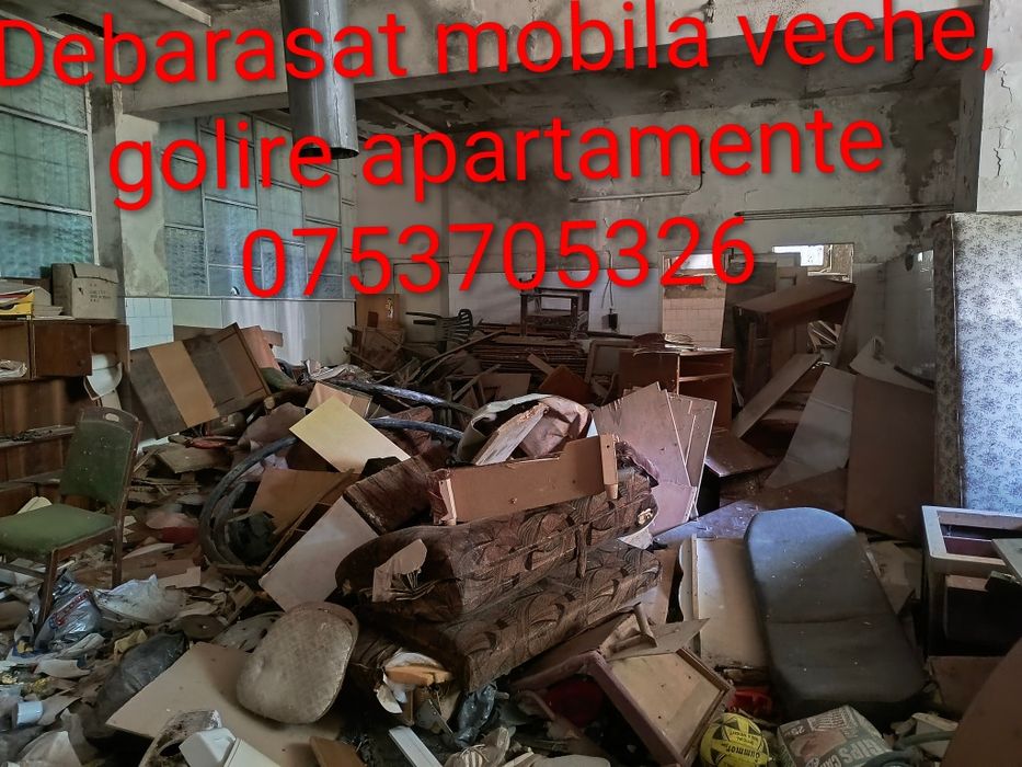 Servicii de debarasare, mobila,moloz,gunoi, golire pivnițe, subsoluri, case, beciuri