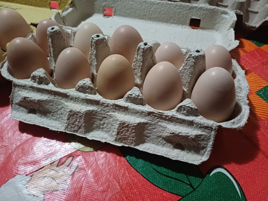 Vând ouă tari de ciocnit pt Paști