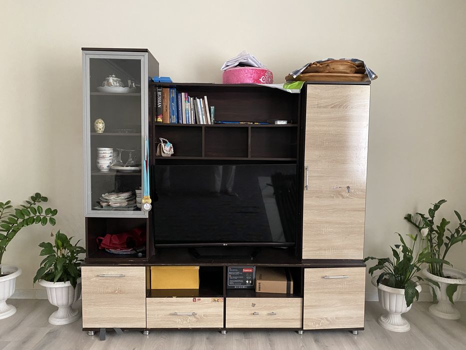 Телевизор ставка