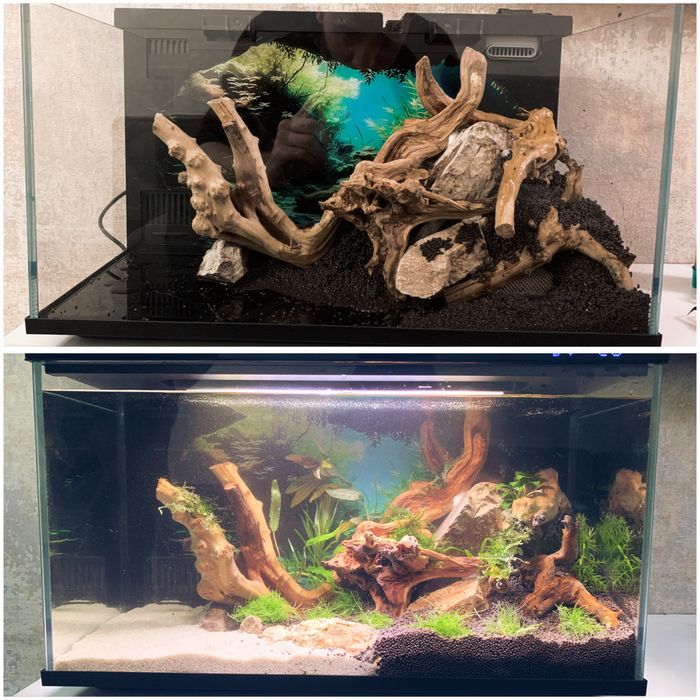 Обслуживание пресноводных аквариумов