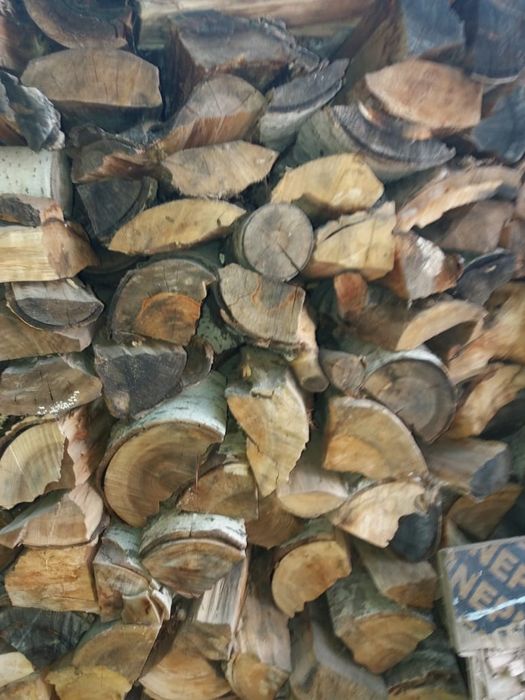 Продам дрова за 2000тенге мешок.