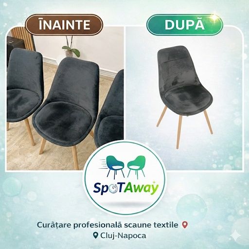 Curățare profesională  Canapele, Saltele, Fotolii, Tapițerie Auto