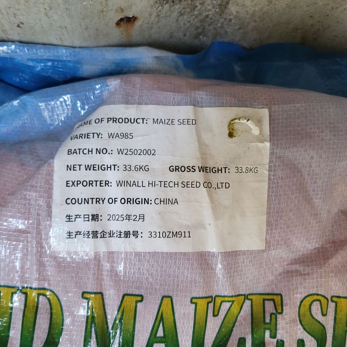 Продам семена кукурузы