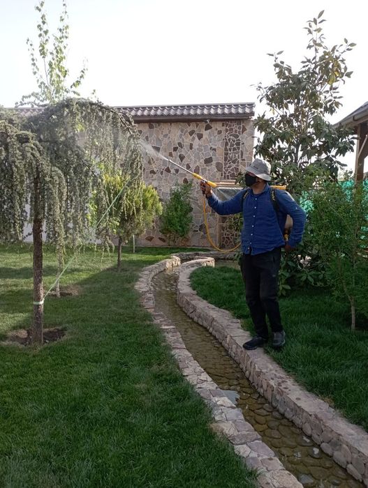 Daraxt daraxt kesish shakil berish bogbon