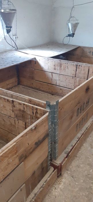 Vând lăzi pentru creșterea puilor.