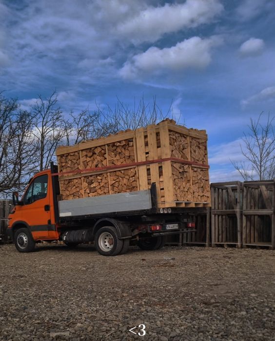 Lemne de foc fag si stejar