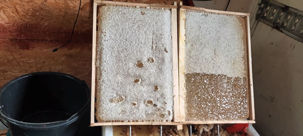 Miere de albine naturală 100%