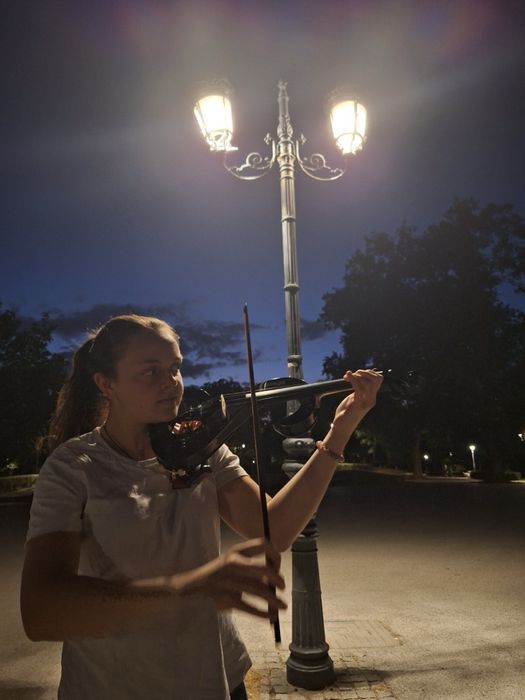 Уроци по цигулка, виола и музиката