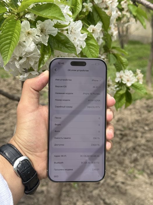 Iphone 16 Pro Max 256 Natural Titanium