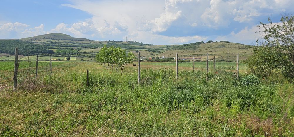 Vand teren intravilan intre Sard si Ampoita