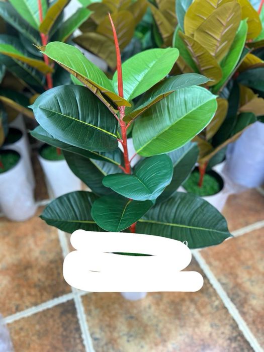 maktab uchun gullar skidkada