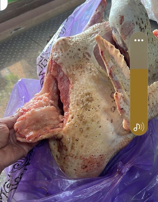 Индюктің еті сатылады