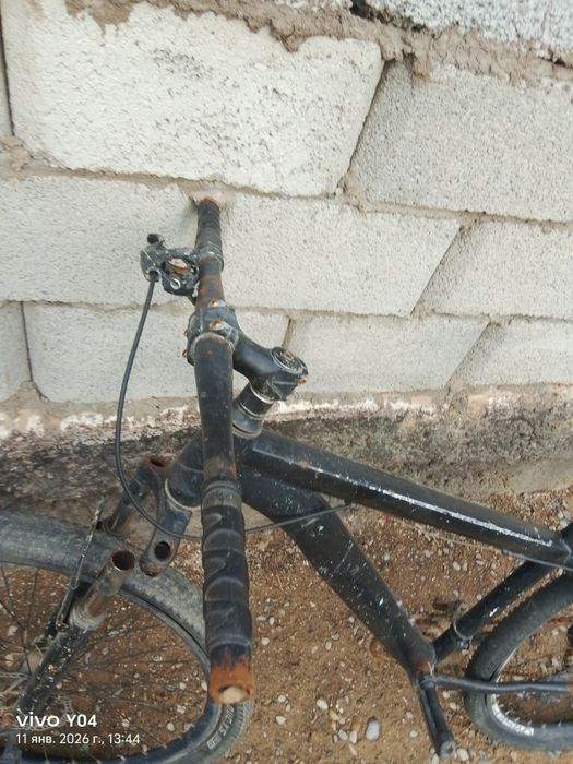 Велик спартивный