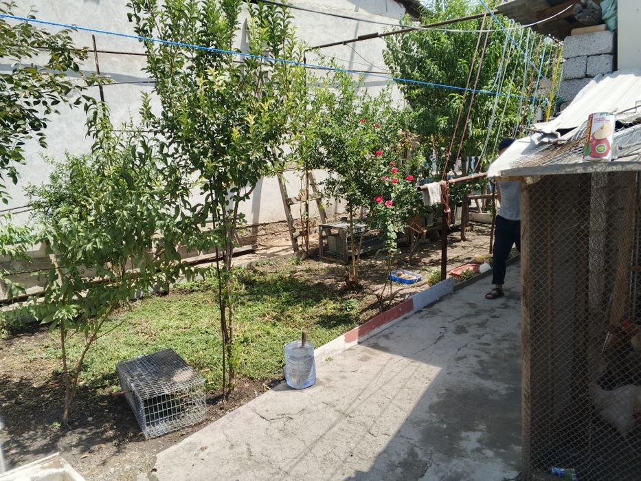 Sergilida joylawgan yer