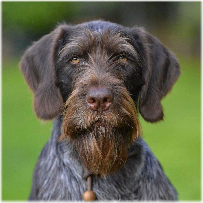 Bir yigit hojatxonada minatka qiladi