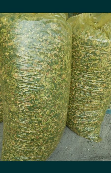 Selofan qoplar bodring, silyos va boshqa qoplar