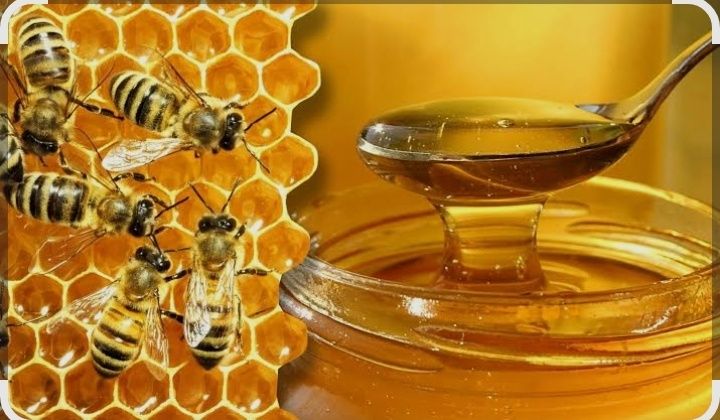 Miere de albine 100 naturală