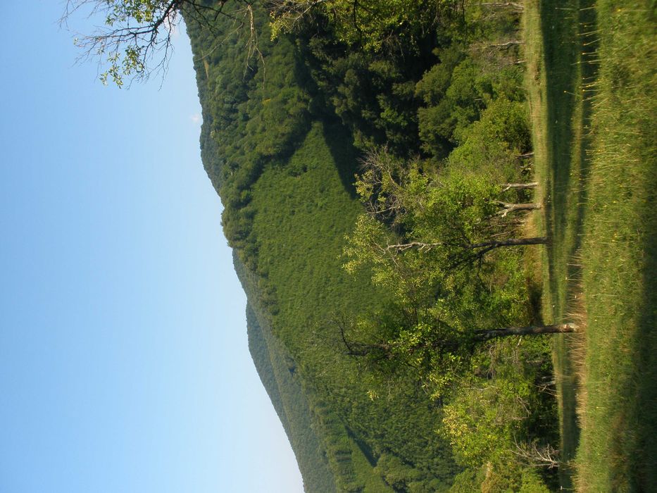 Парцел в с.Рибарица