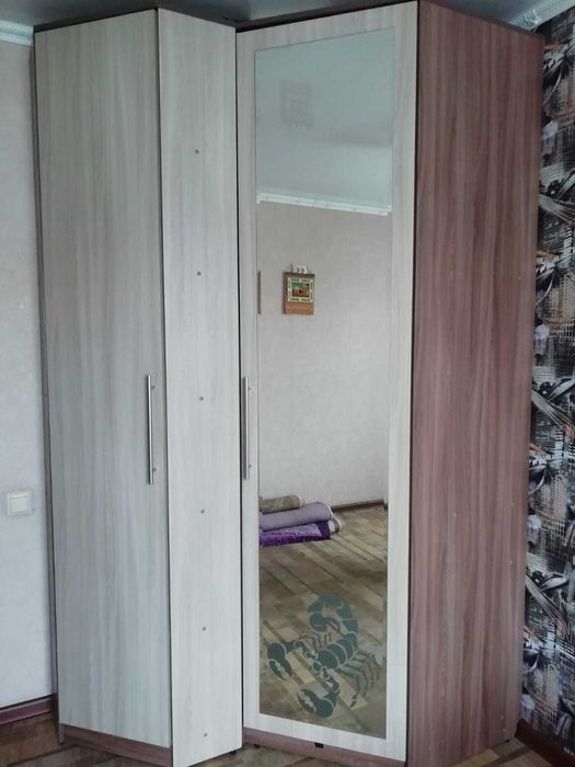 Угловой платяной шкаф с зеркалом и рисунком