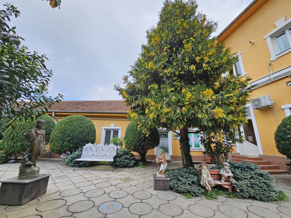 Spațiu de închiriat zona centrală