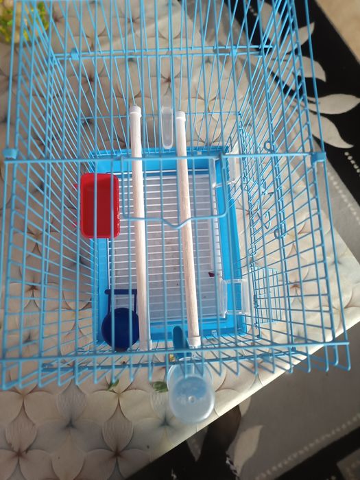 Кафез за канарчета