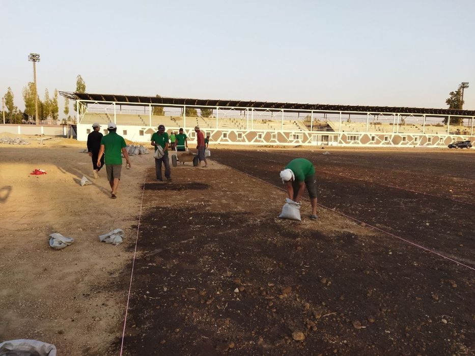 Газон екиш, арча кесиш, палиф хизмати, ландшафт , томорка ишлари