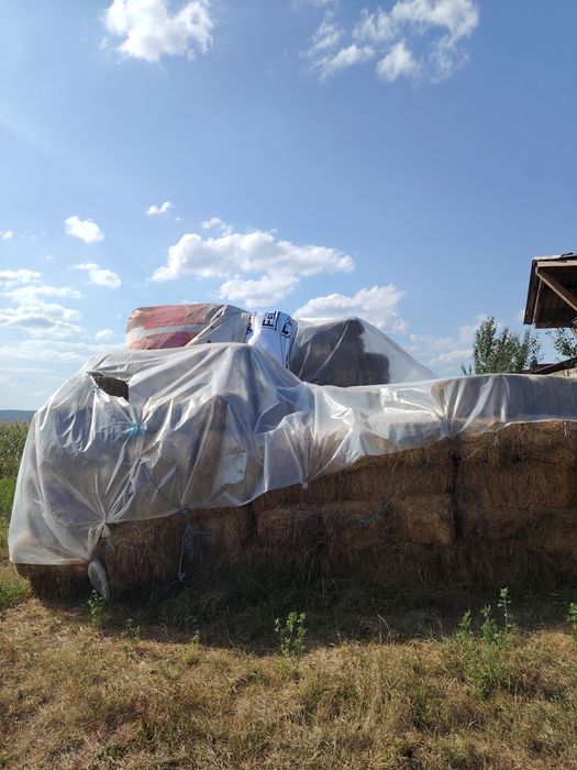 Baloți fân și lucernă