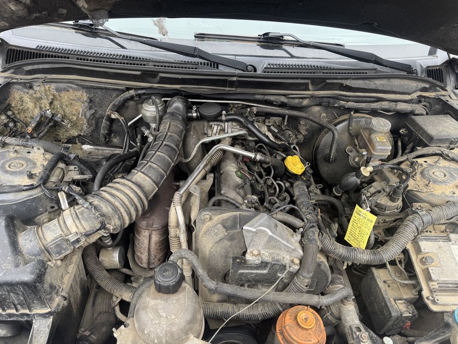 Accesori motor frand vitara 2008 1.9
