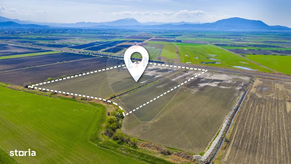 Teren 9,2 Ha Bod |Logistic / Industrial| Doar 5€/mp| Comision 0%