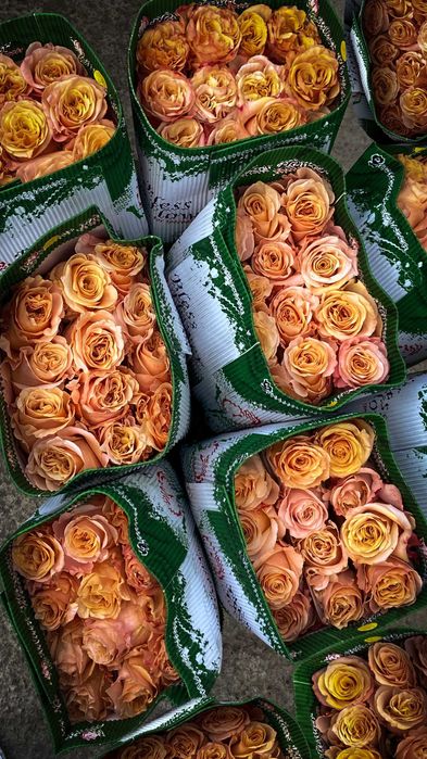 Цветы оптом розы