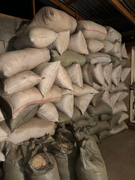 Опилки в мешках 50 килограммовые