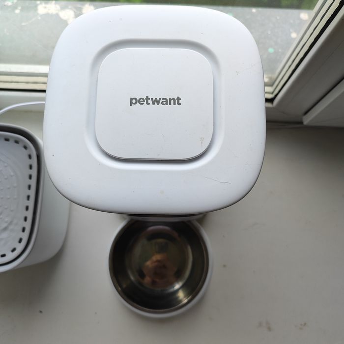 Электрокормушка для кошек с таймером