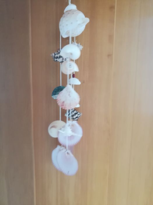 Изделие из ракушек