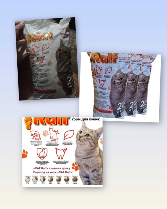 Кошачий     корм