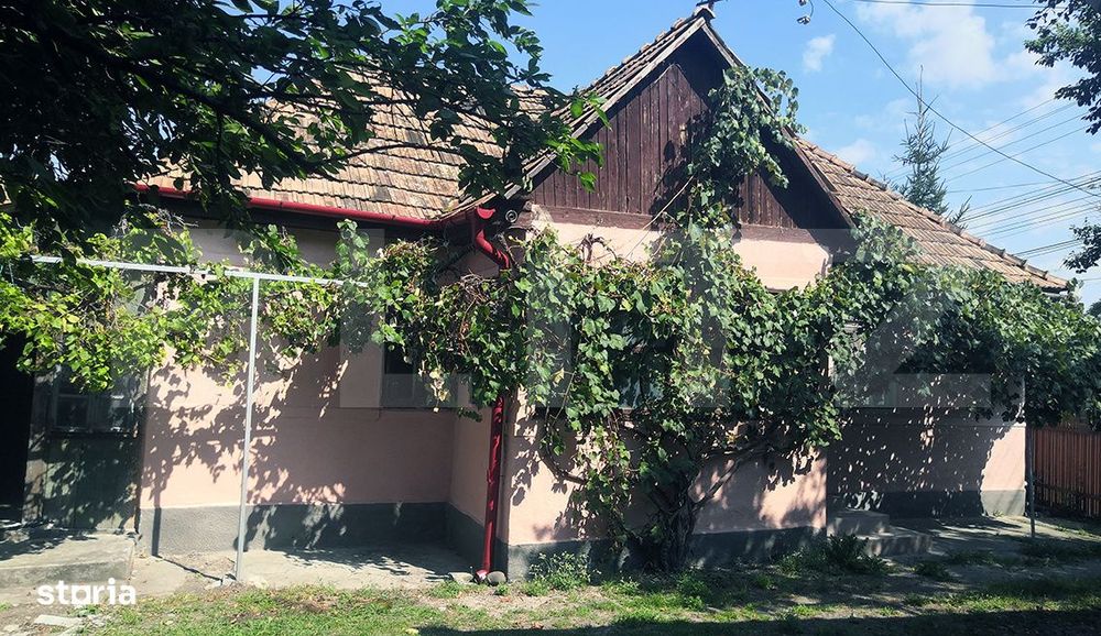 Teren intravilan generos + 2 case – 15.277 mp, front 30 m, multiple