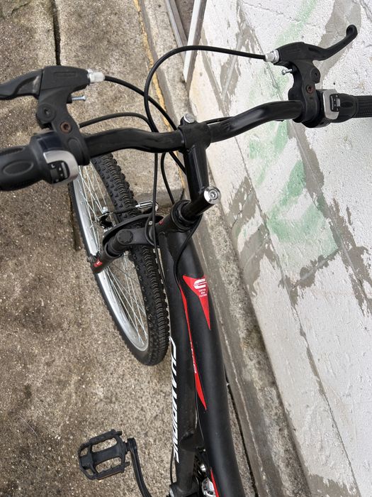Vand bicicleta champions tempo