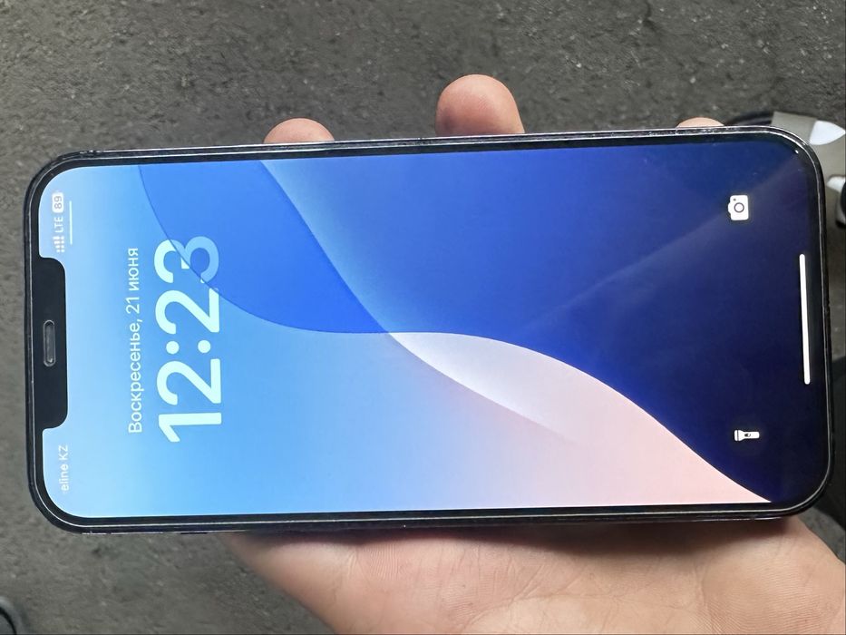 iPhone 12 pro max