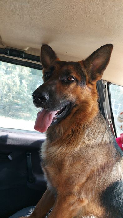 Вязка мальчик 2 года