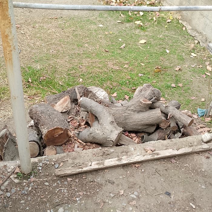 Драва утин хезум