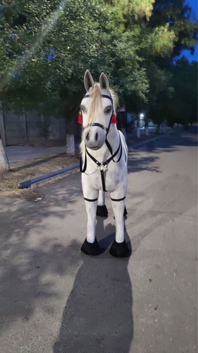 (Сотилади|Продается|Заказга|Бизнес|Ayiqlar|