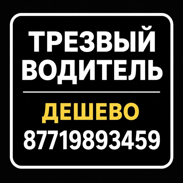 Трезвый водитель Шымкент