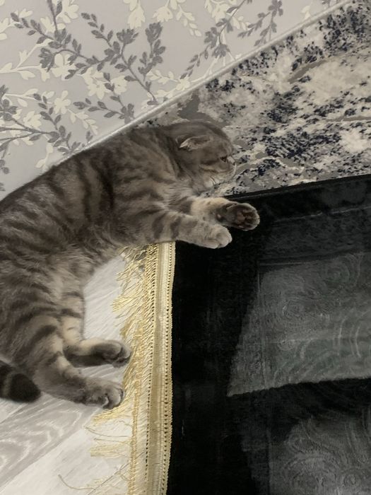 Вязка ( не продается) кушишга