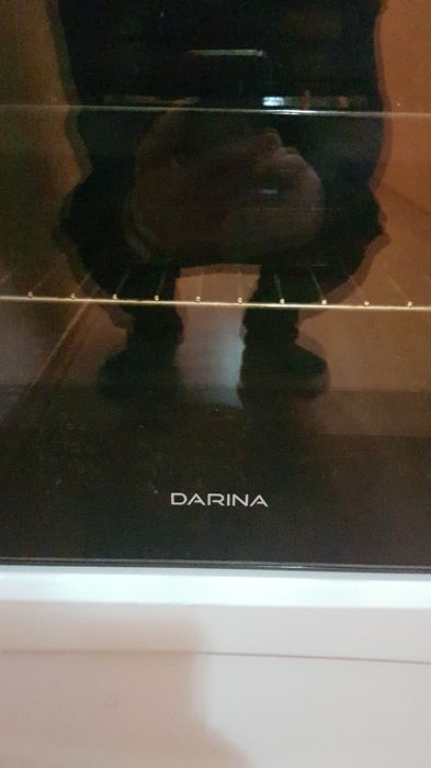 Газовая плита Дарина