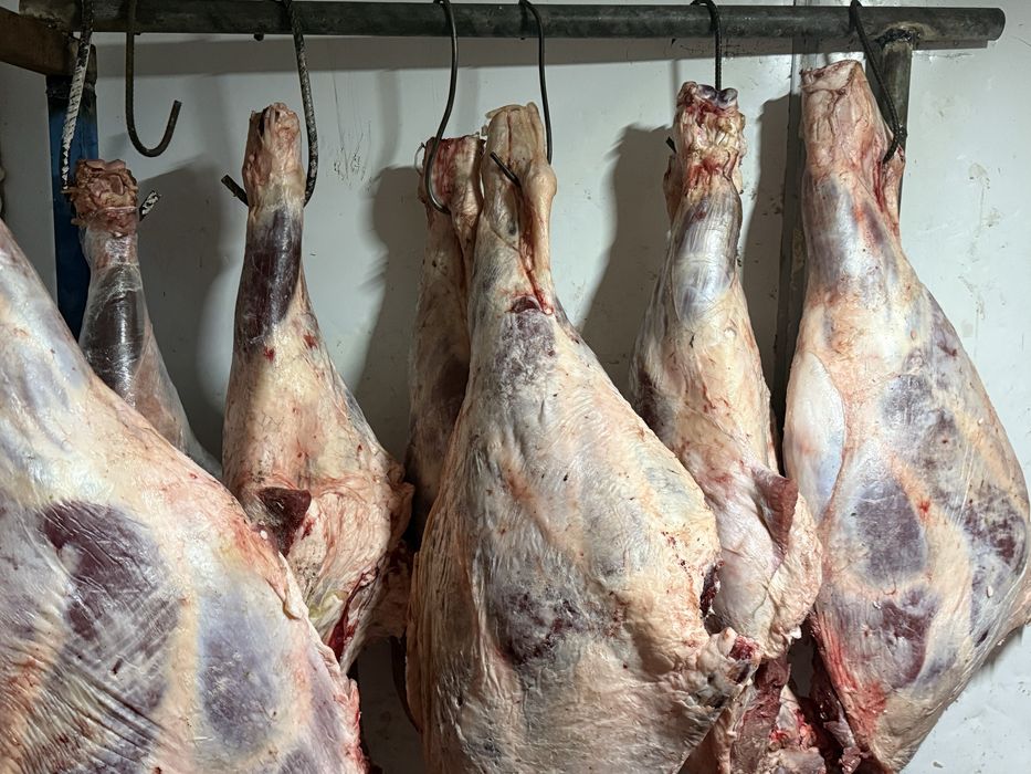Продам мясо говядины молодняк. Сан ет сатылады жас мал